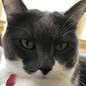 Meet your Posher, Kristyn